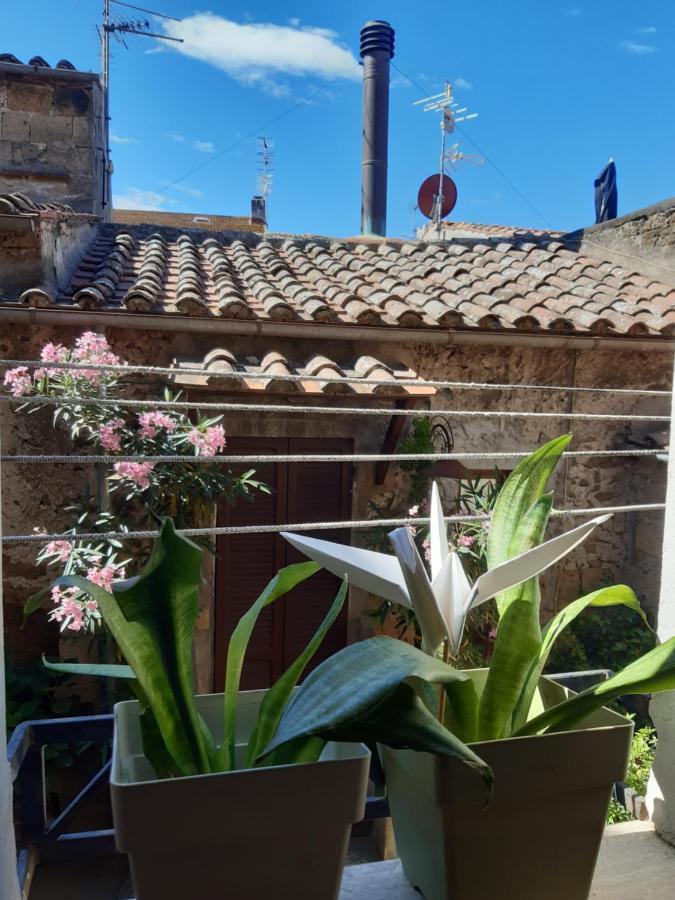 Apartamento Casa Il Girasole Pitigliano Exterior foto
