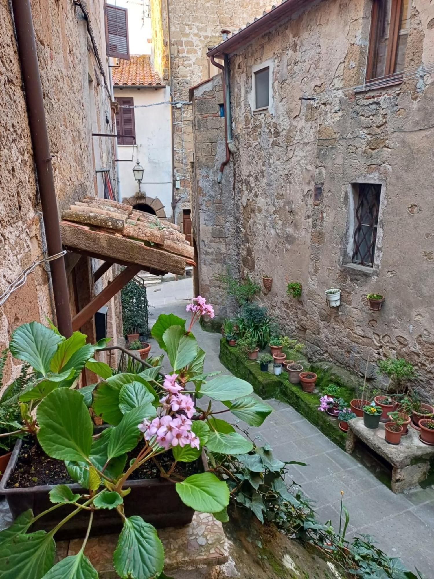 Apartamento Casa Il Girasole Pitigliano Exterior foto